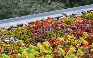 the cost of Melton green roof installation